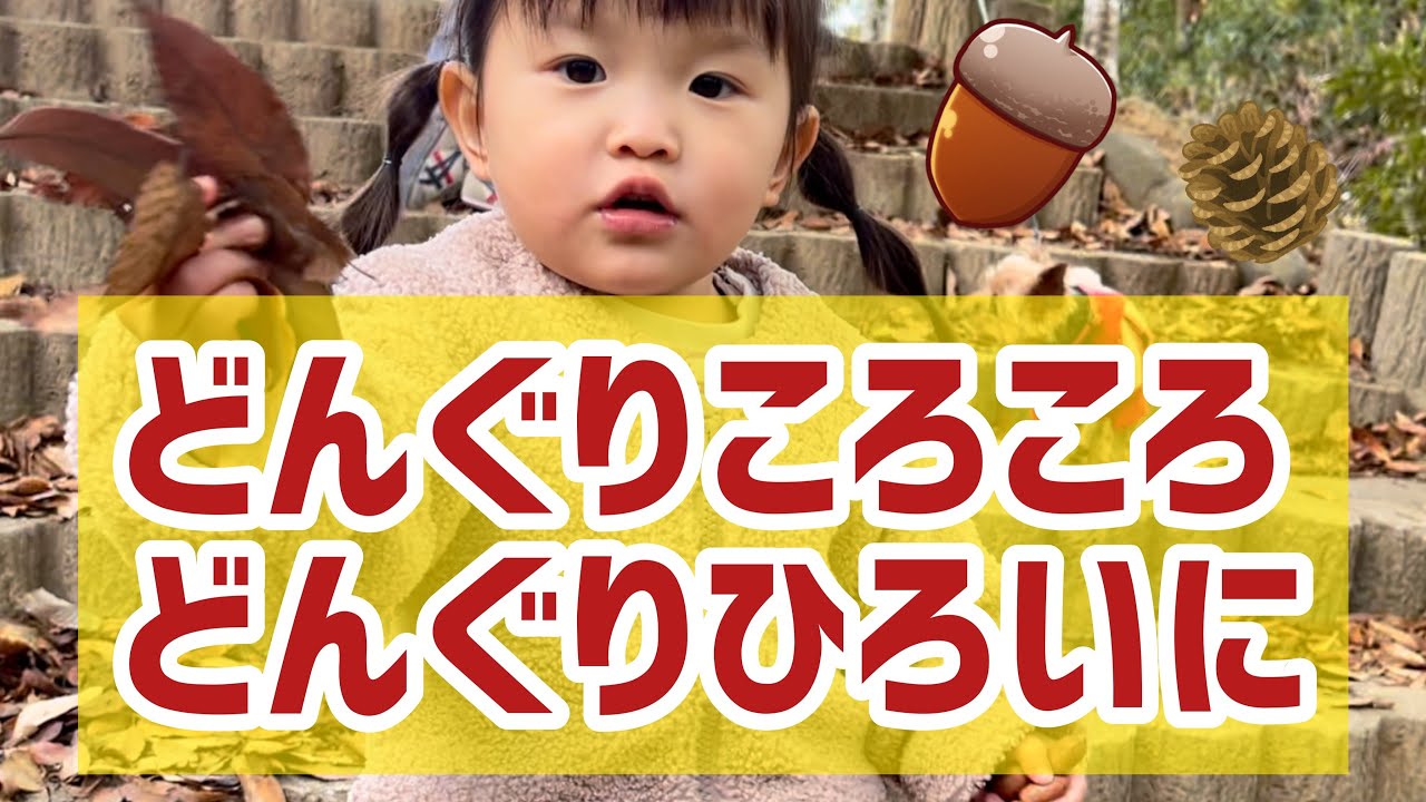 どんぐり拾いに 2歳7ヶ月🌰村方乃々佳　노노카  Picking up acorns 2 years and 7 months old