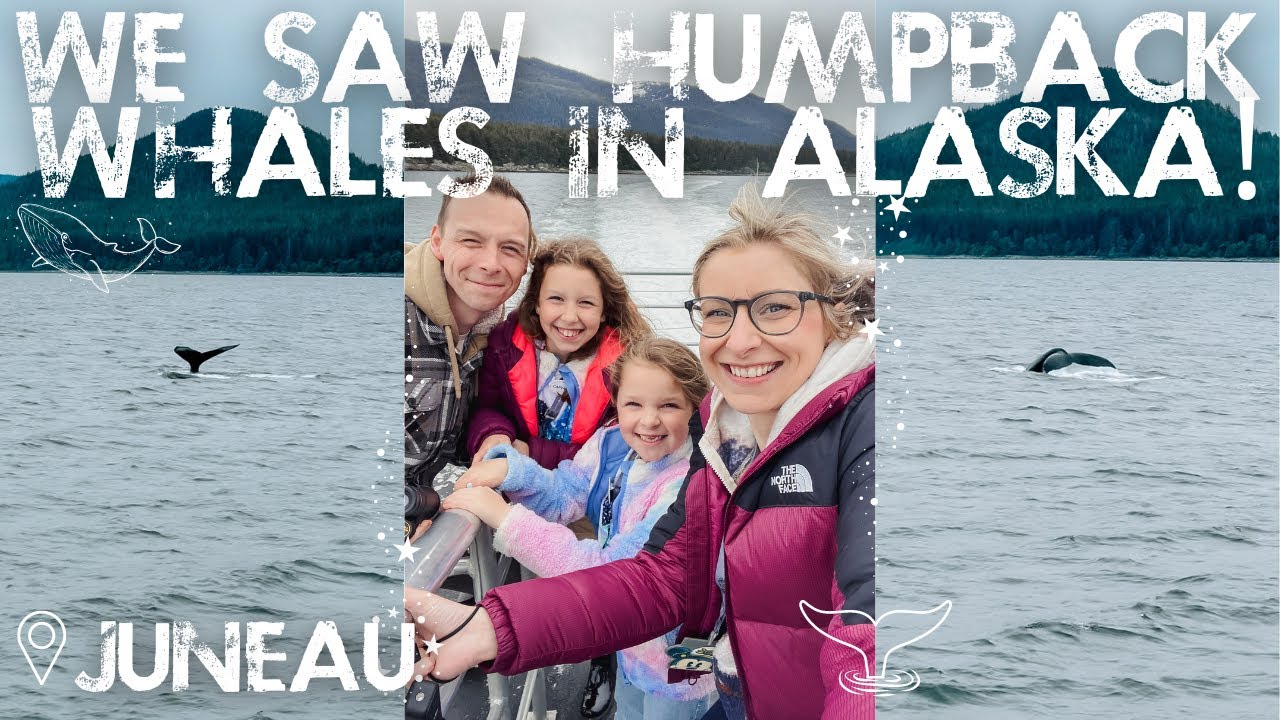 WE SAW HUMPBACK WHALES! 🐋 the most incredible excursion in Juneau! | Disney Wonder