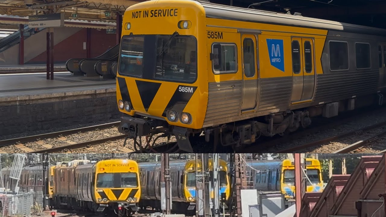 Evie + Evettes Comeng Inspection Train | 9A Flinders St Station return from Sandringham | 27.1.26