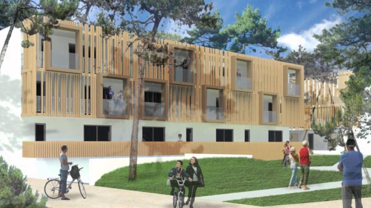 Découvrez Le Bois de Saint-Ahon à Blanquefort (33)