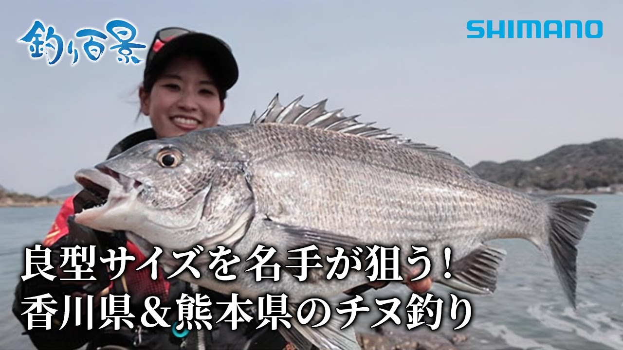 【釣り百景】#584 良型サイズを名手が狙う！香川県＆熊本県のチヌ釣り