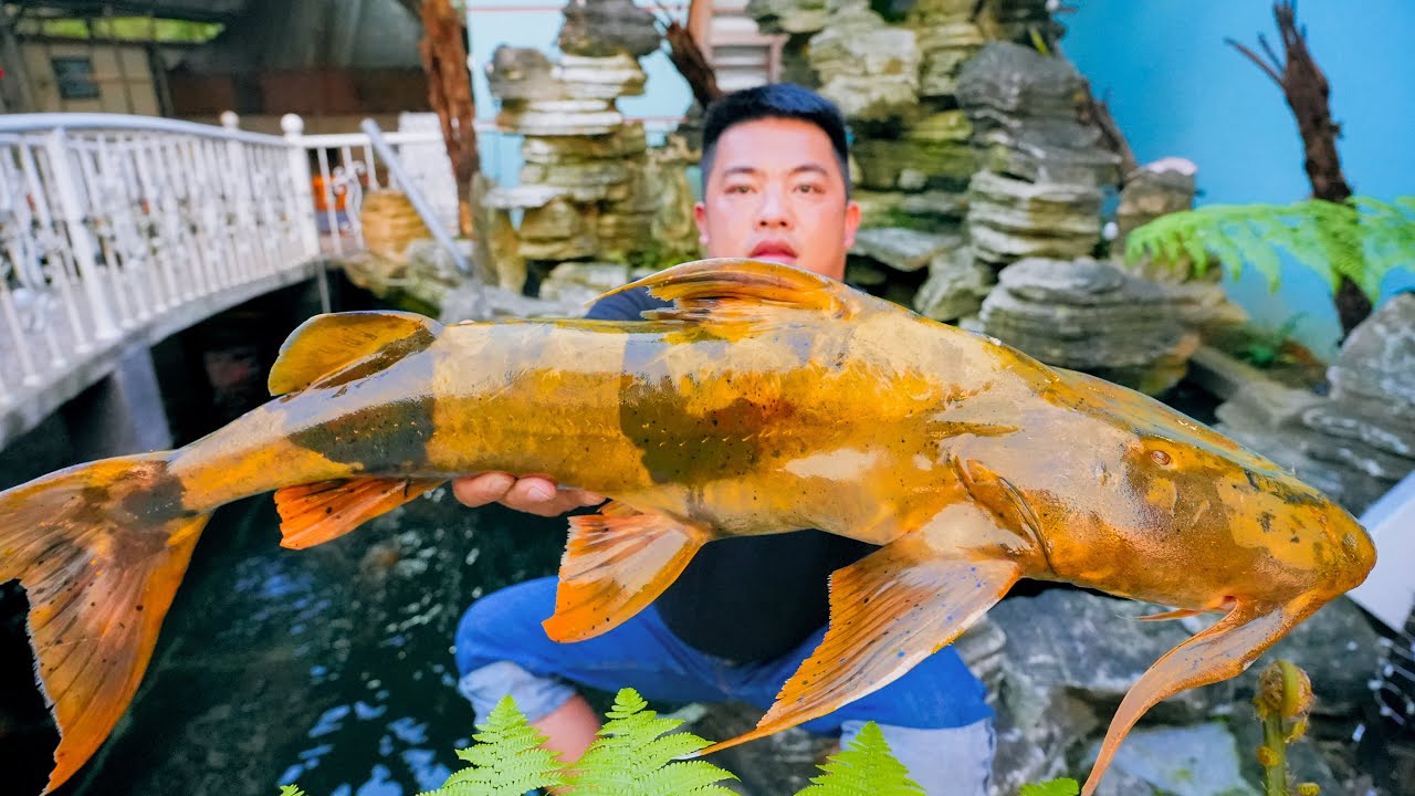 GIANT RIVER MONSTER from Northwest Vietnam – EPIC Crispy Fish Hotpot You Must Try! | SAPA TV