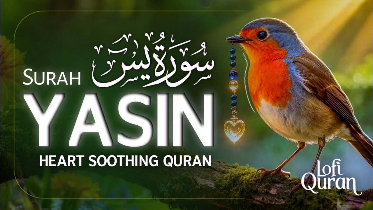 Surah Yasin (Yaseen) سورة يس | Relaxing heart touching voice | Lofi Quran
