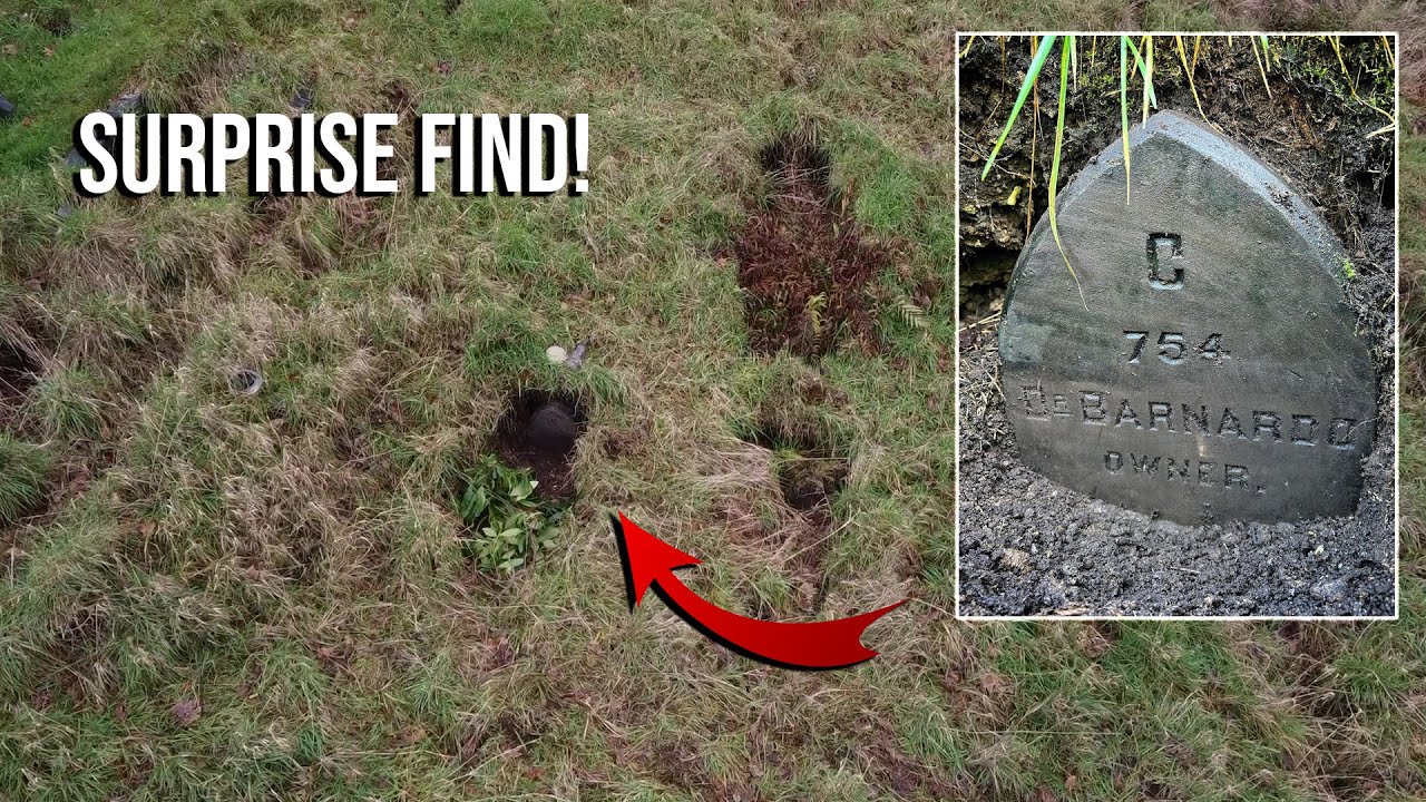 Dr Barnado''s plot on land of sunken graves