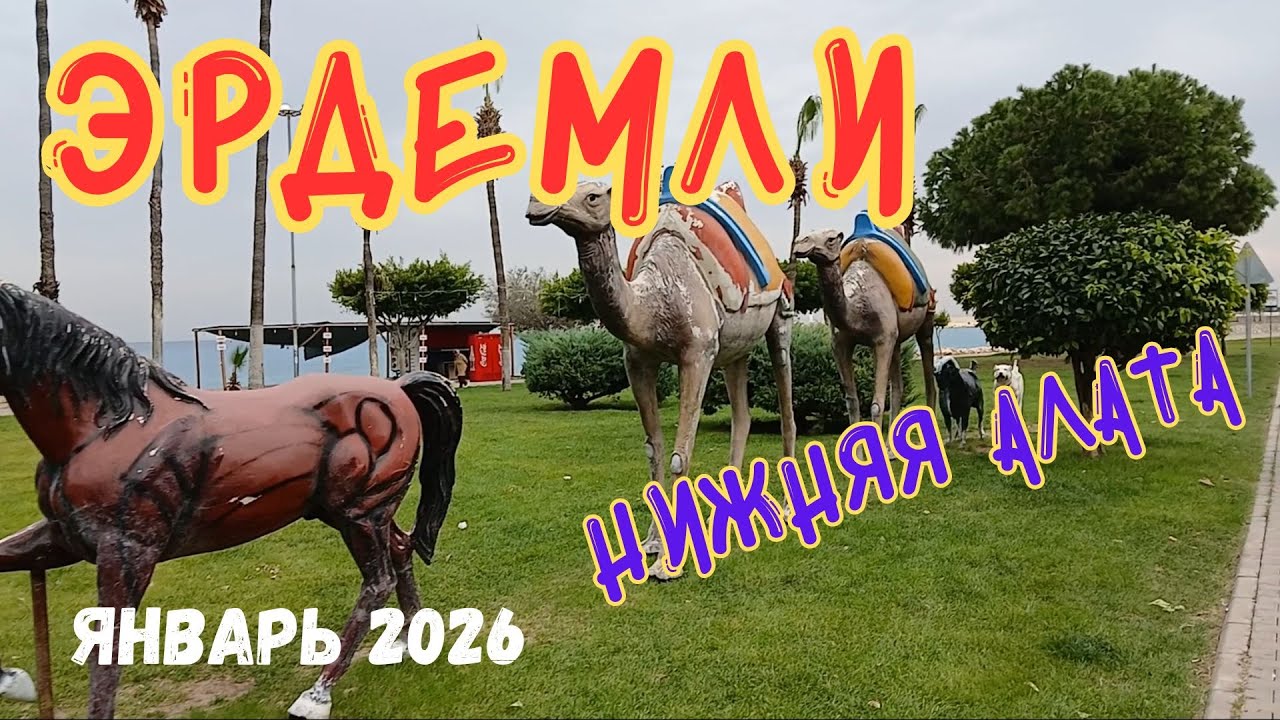 🐎ЭРДЕМЛИ🐪НИЖНЯЯ АЛАТА🐕‍🦺 ЯНВАРЬ 2026 #Турция #Эрдемли