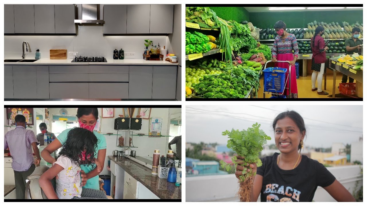 Harvesting grapes and coriander leaves/Meet our new tintu/Shopping groceries/Quick evening snacks