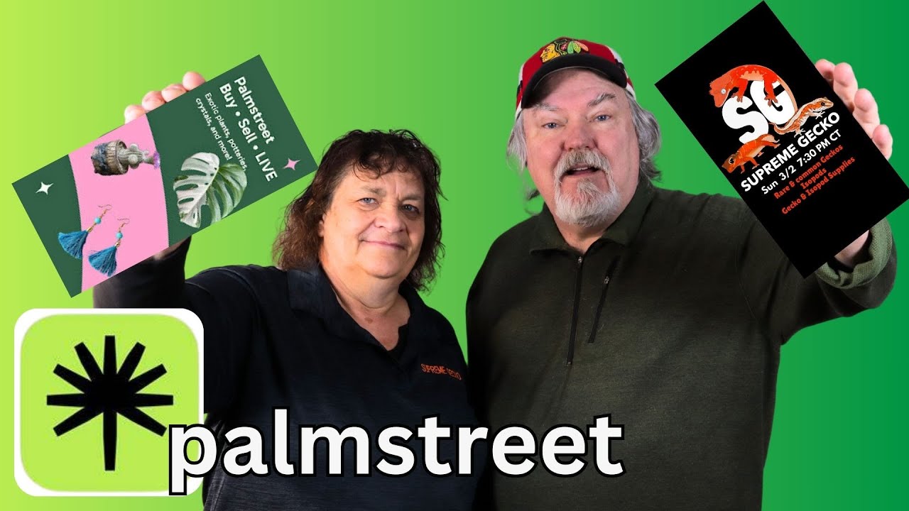 Watch THIS before using Palmstreet -  PROS - CONS!