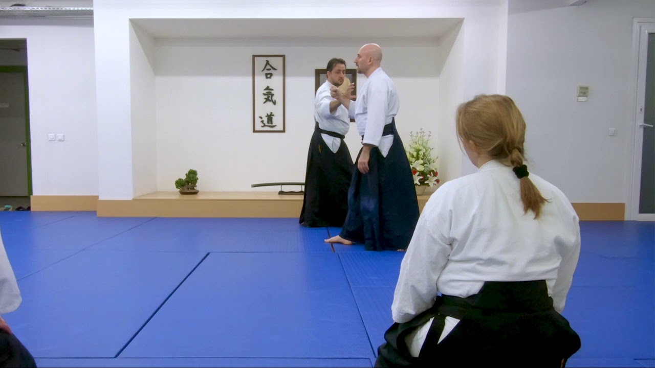 Aikido Dinamikleri #2