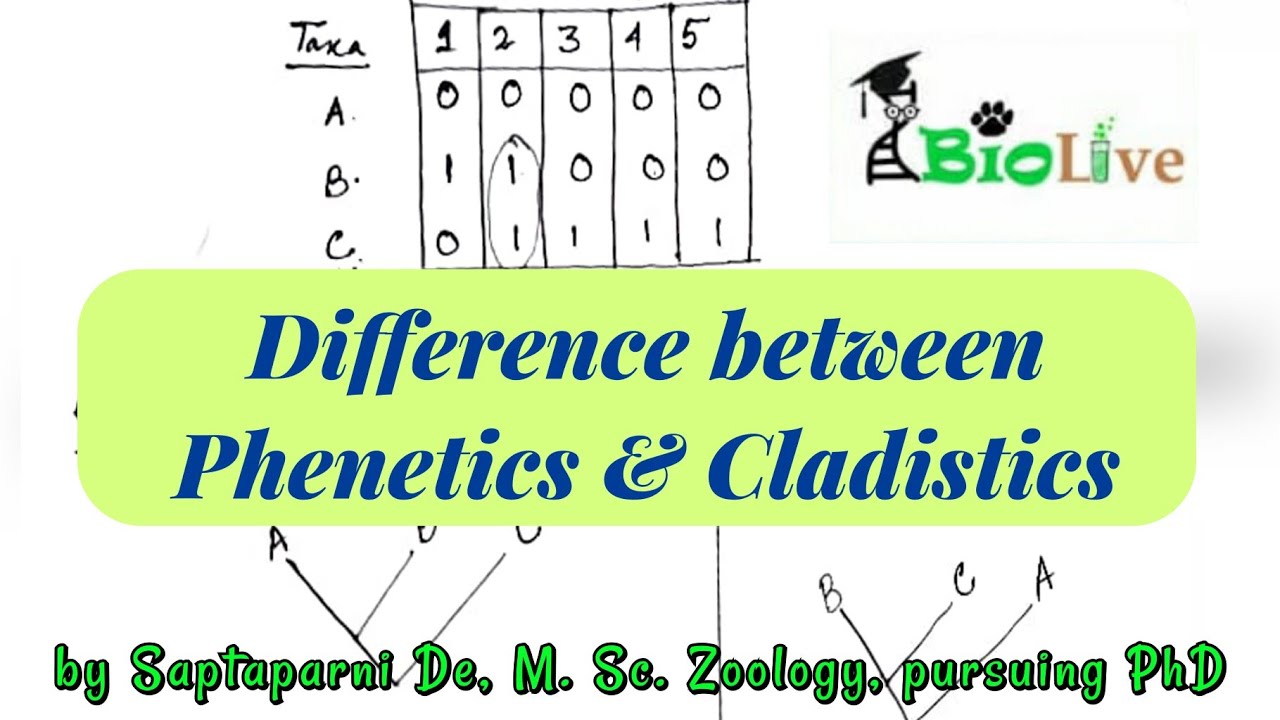 Difference between phenetics and cladistics
