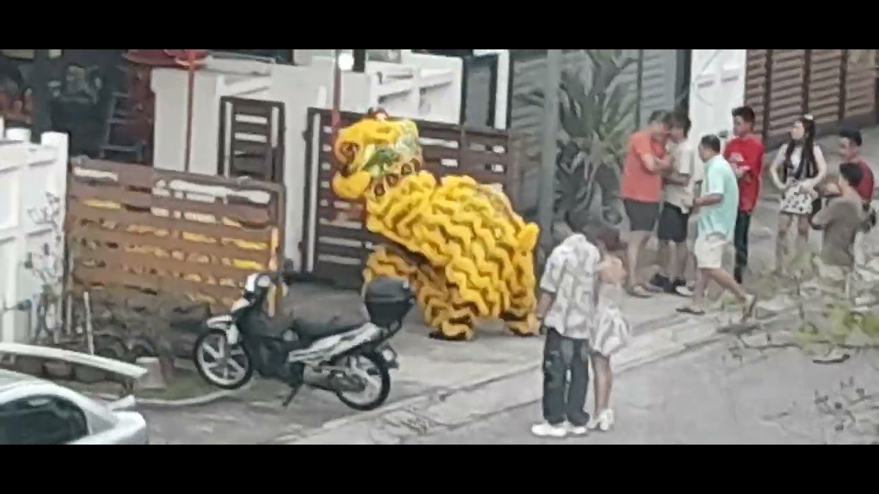 Lion dance performance for Chinese new year at peoples house 
