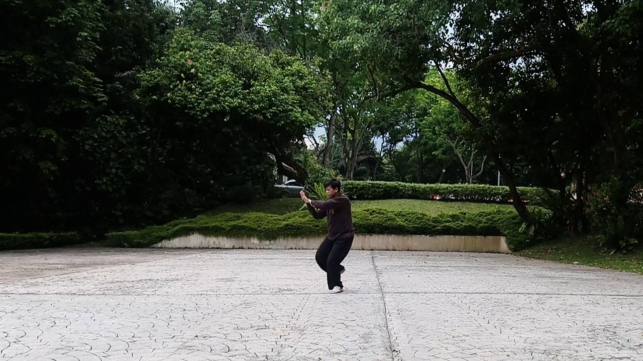 Shaolin Shuang Yang White Crane Soft Art 少林霜阳白鹤柔软拳by Andrew Lee (Namyang Singapore)