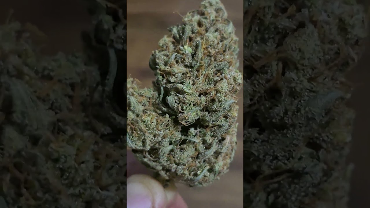 Wedding Cake harvest!