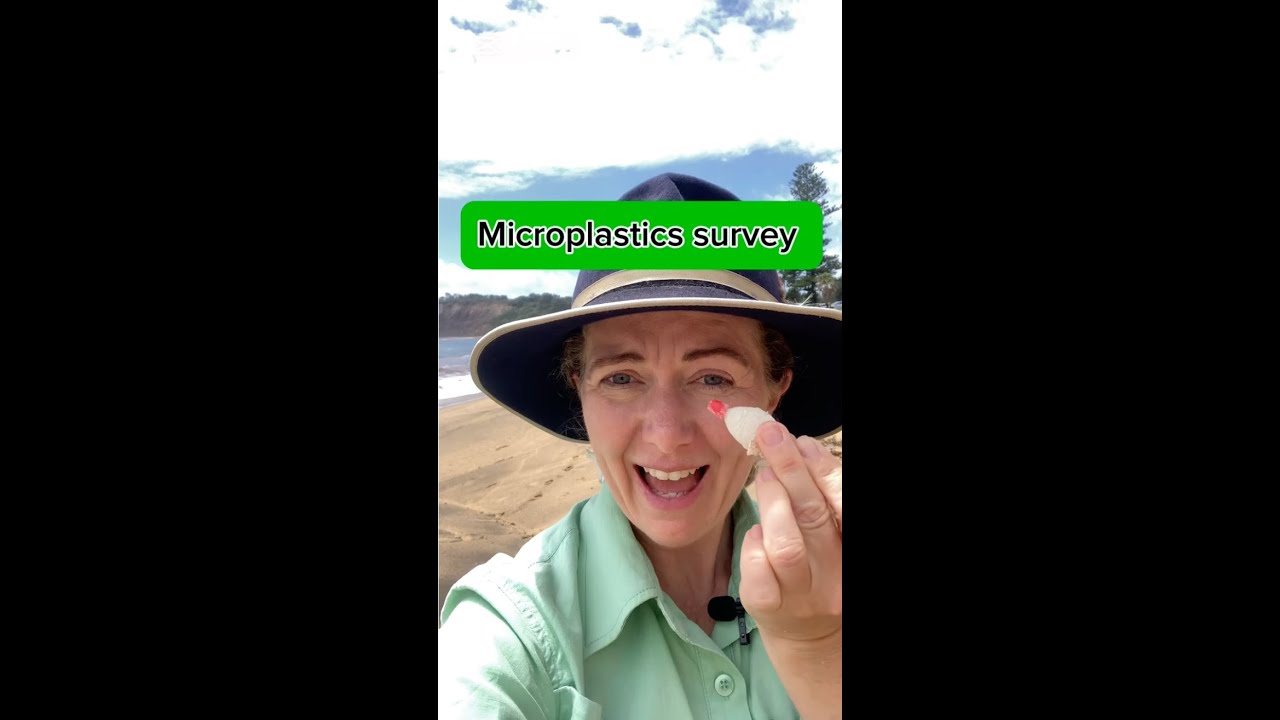 Microplastics survey 