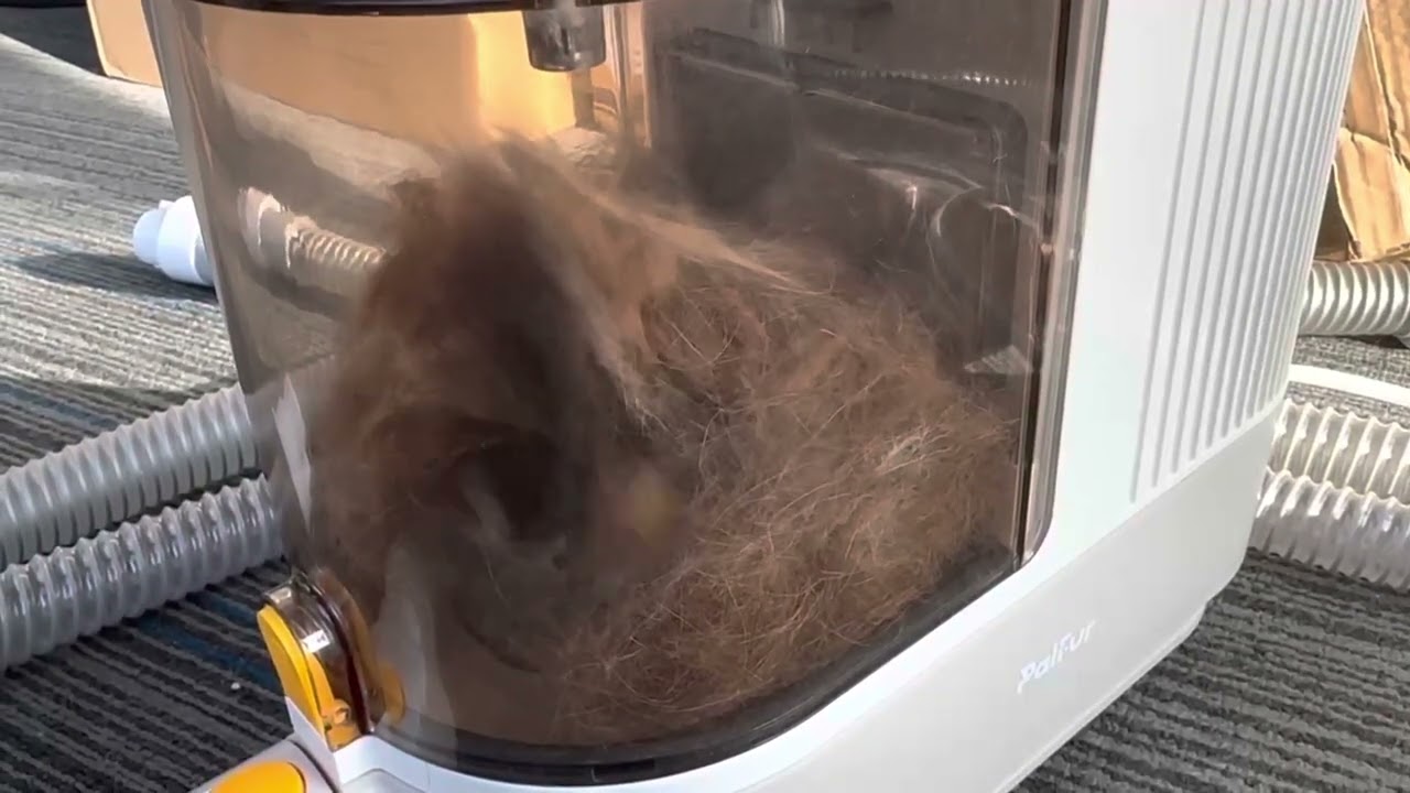 PalFur IN01 in Real Reaction 01| How Directional Air-flow Works with Dog&rsquo;s Hair?