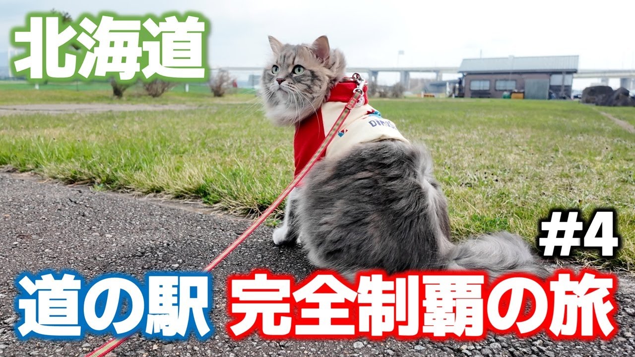 【北海道】洞爺湖周辺の道の駅の絶品グルメを食べつくす！【道の駅スタンプラリーの旅】