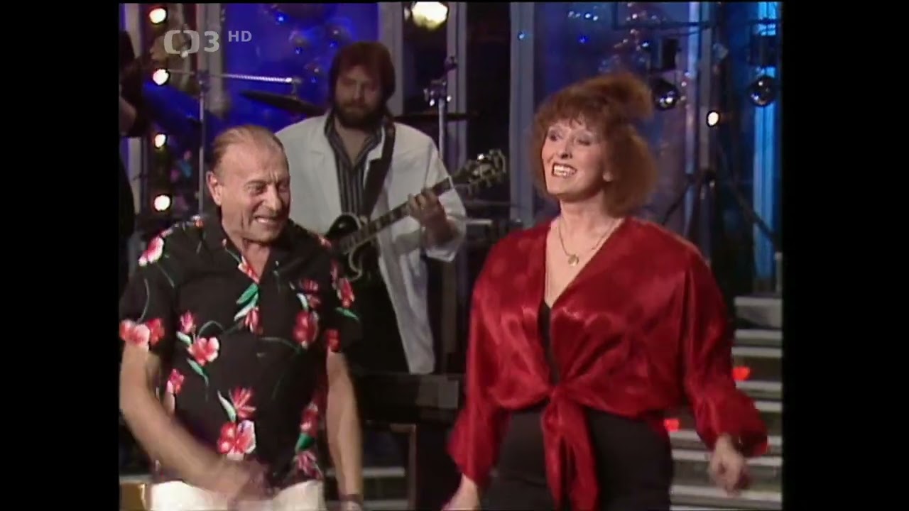 Kroky Franti&scaron;ka Janečka + Karel H&aacute;la a Aťka Janou&scaron;kov&aacute; a Arno&scaron;t Kavka a Vera Neru&scaron;ilov&aacute; (1988)