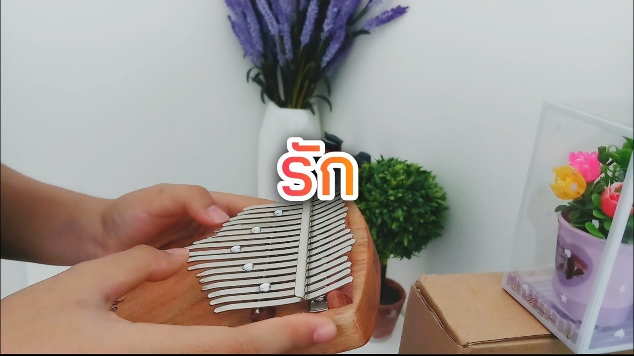 รัก - อัญชลี จงคดีกิจ | Kalimba cover by p style