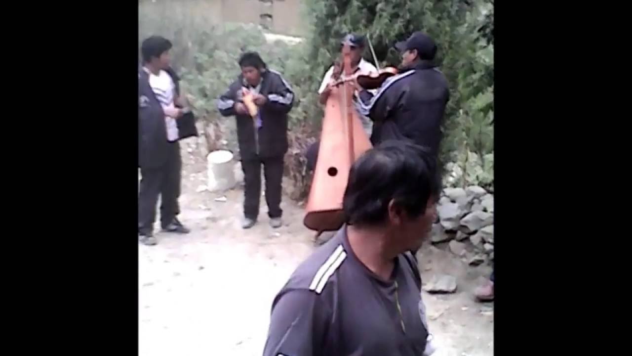 Ideales de sumbilca 2013 Piscocoto