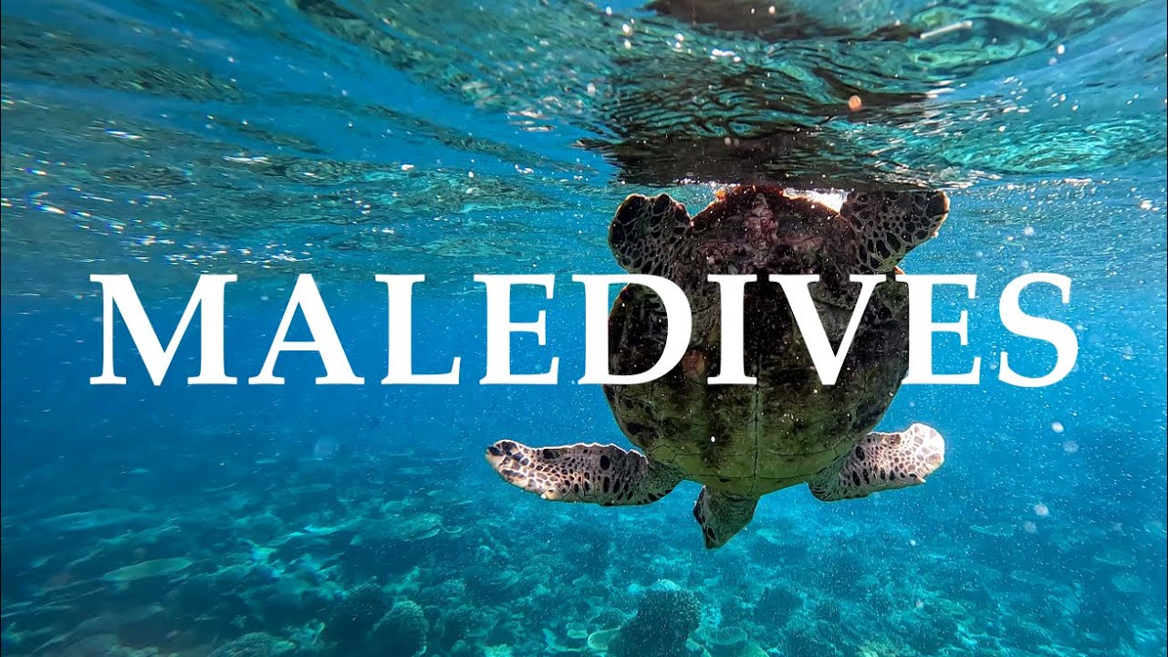 Kandima Maldives | Cinematic | 4k | 2023 |
