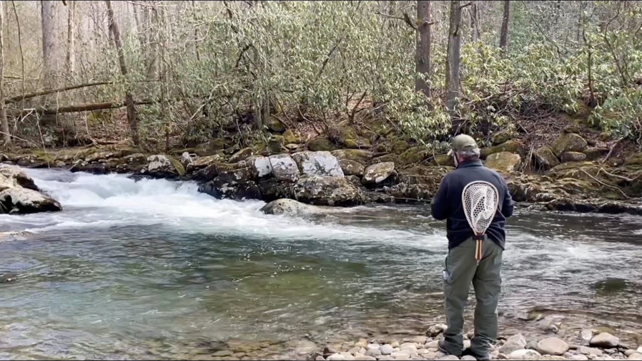 Tellico Fishing Information