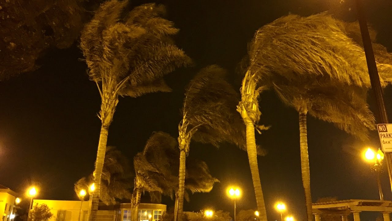 A Storm System Brings Strong Winds To San Jose, CA (1-22-2017)
