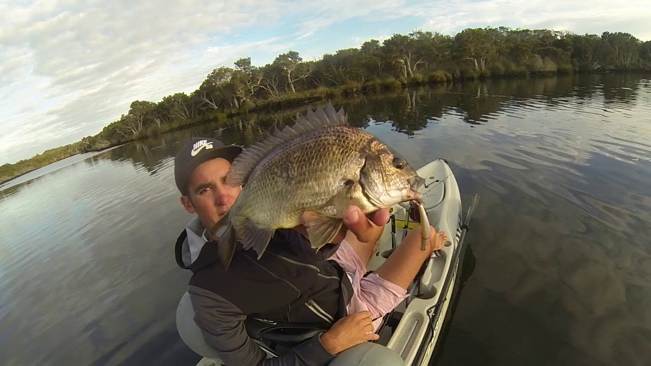 BLACKWOOD RIVER KAYAK FISHING (Black bream)