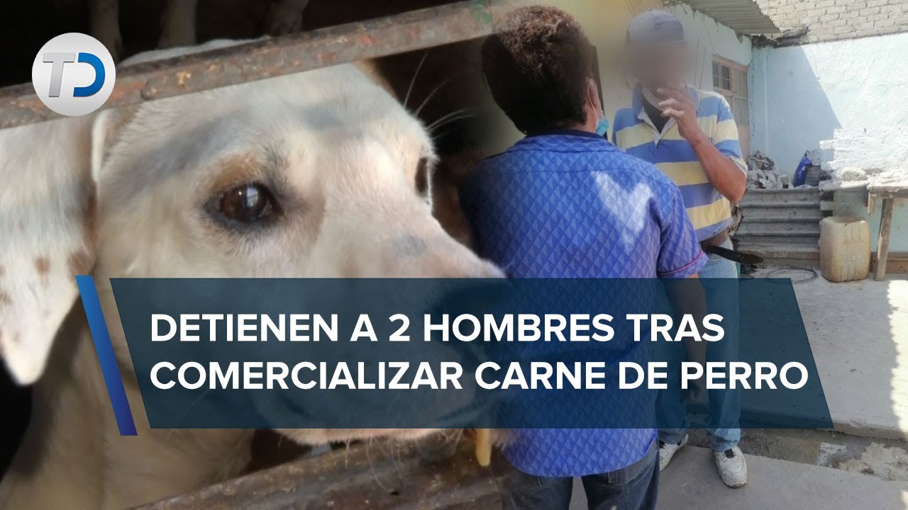 Detienen a hombres en Tultitlán por robar perros; vecinos acusan que los vendían en tacos en Tacuba