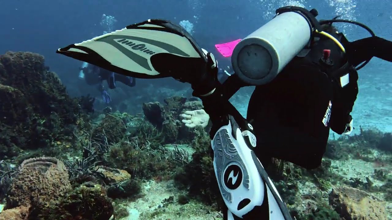 Scuba Diving Yucab Reef in Cozumel Mexico - January 11, 2026