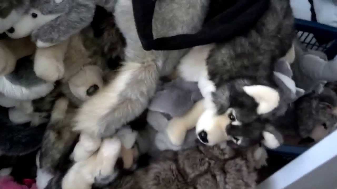 Full wolf plush collection updated