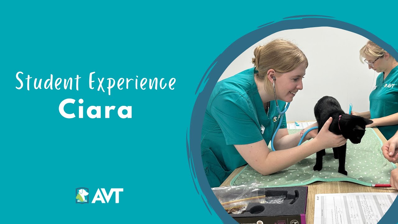 Vet Nurse Pathway Course - Ciara's Student Experience (Review)