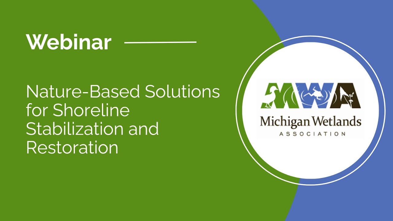 Nature-Based Solutions for Shoreline Stabilization and Restoration