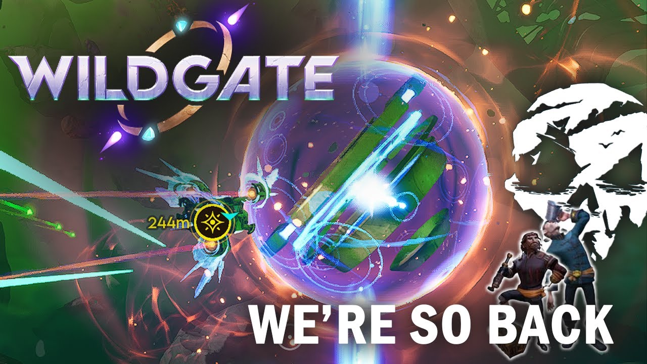 I've Become TOP 100 in this NICHE GAME In a MONTH! | WILDGATE