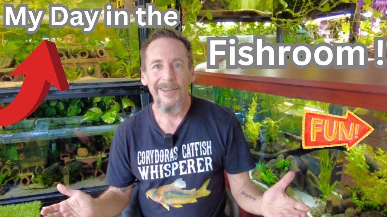 My Day in the Fishroom !
