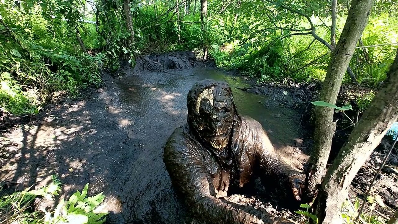 Can I swim in mud? - Masurian Forest Bog 2024 | Day 7 | Take 2