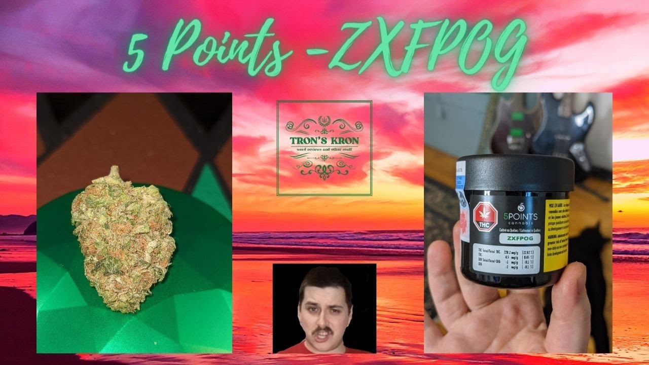 5 Points Cannabis - ZXFPOG Cannabis Review