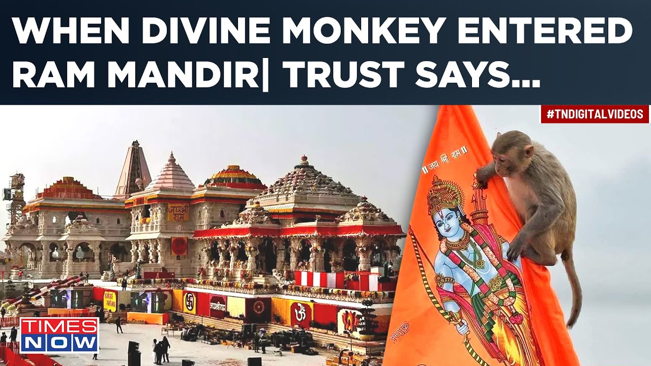 Ayodhya Mandir Miracle Story Viral| 'Divine' Monkey Enters Temple For Ram Lalla Darshan? Trust Says…