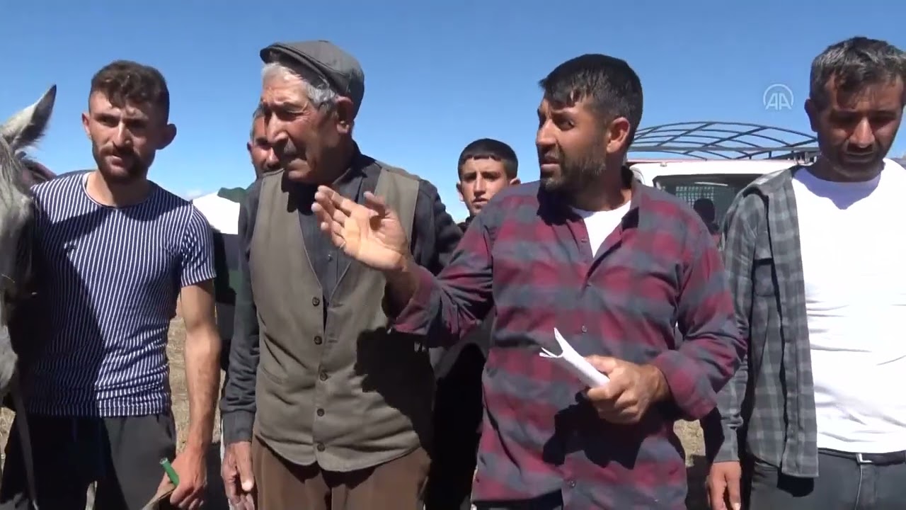 Kars'ta geleneksel at yarışları yapıldı