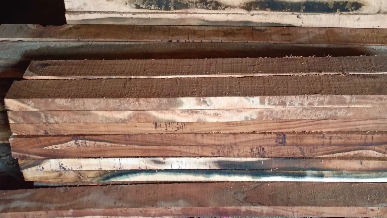 Warning: These Wood Cuts Are Addictive to Watch! | WoodWorkshop2