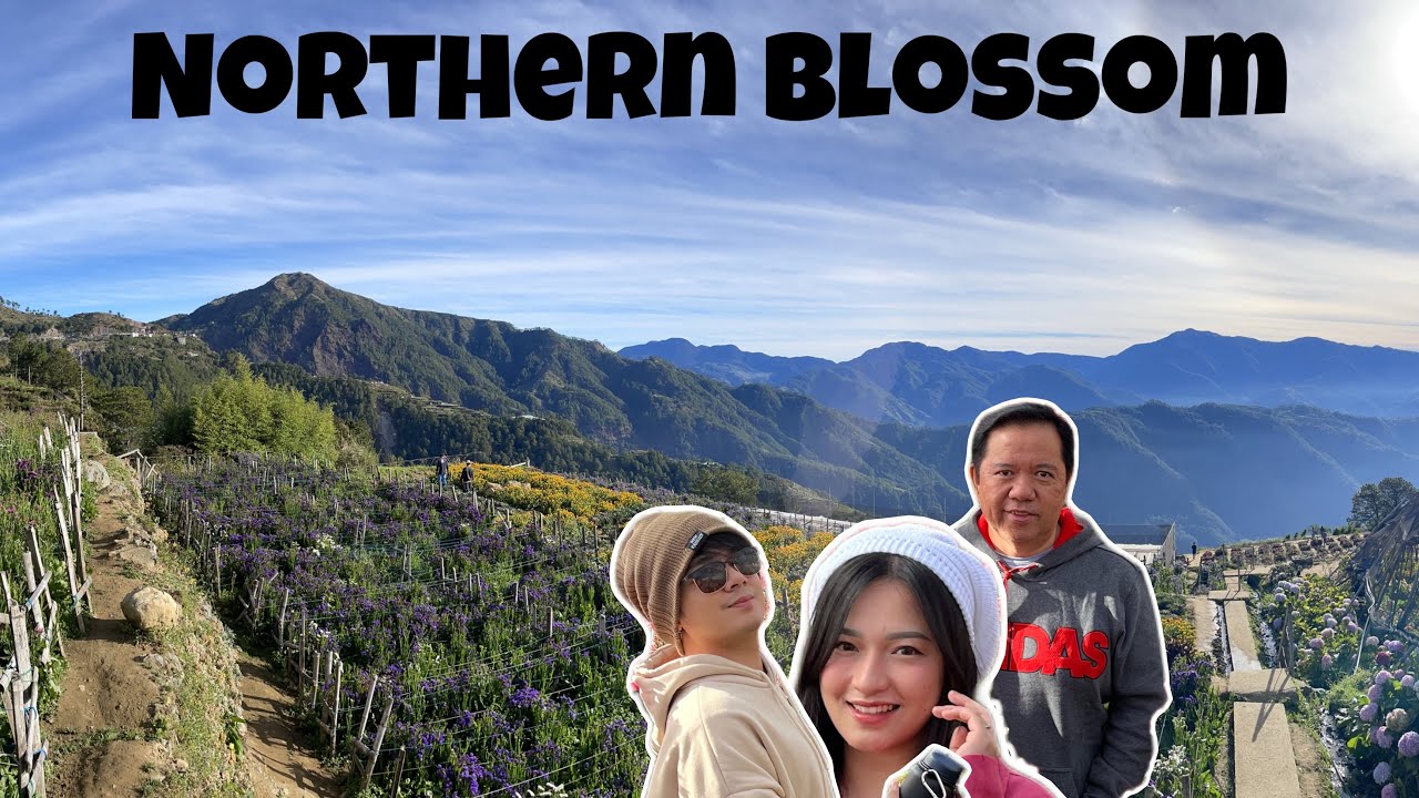 Northern Blossom
