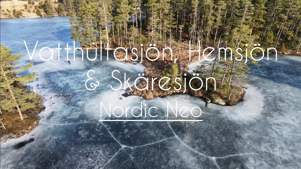 Into Silence | Nordic Skating in the Deep Forest