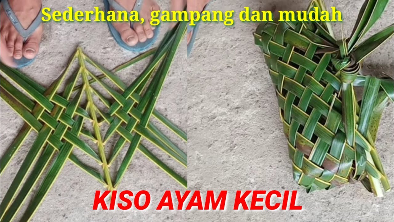 CARA MEMBUAT KISO AYAM KECIL YANG MUDAH DAN GAMPANG