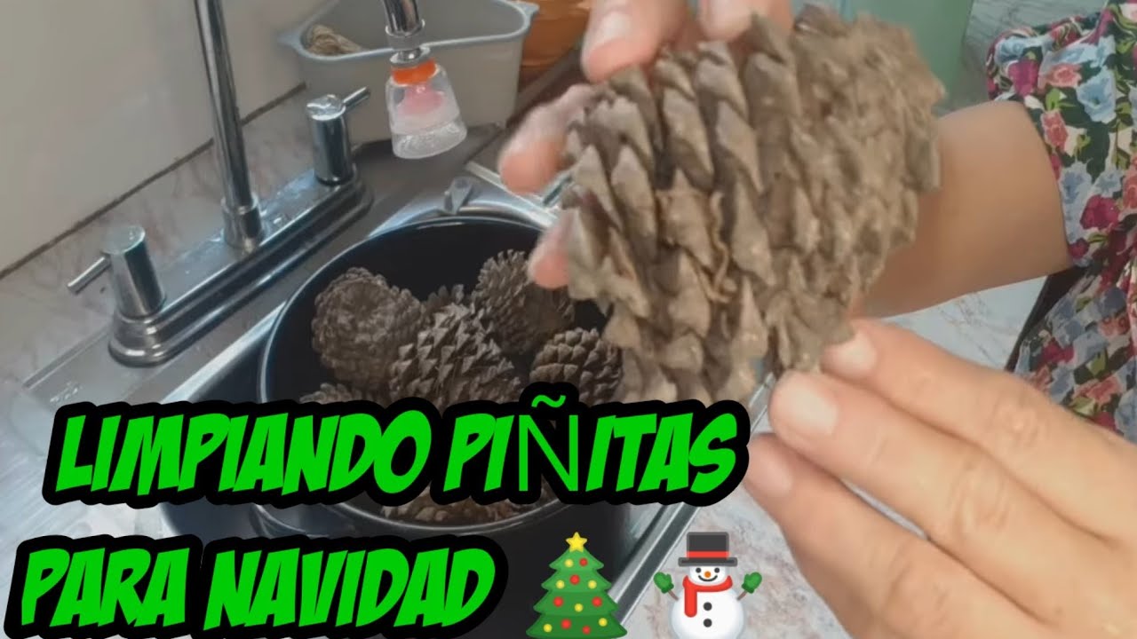COMO LAVAR  PIÑITAS PARA LA NAVIDAD #viral #viralvideo  #video #shorts #subscribe #mrbeast