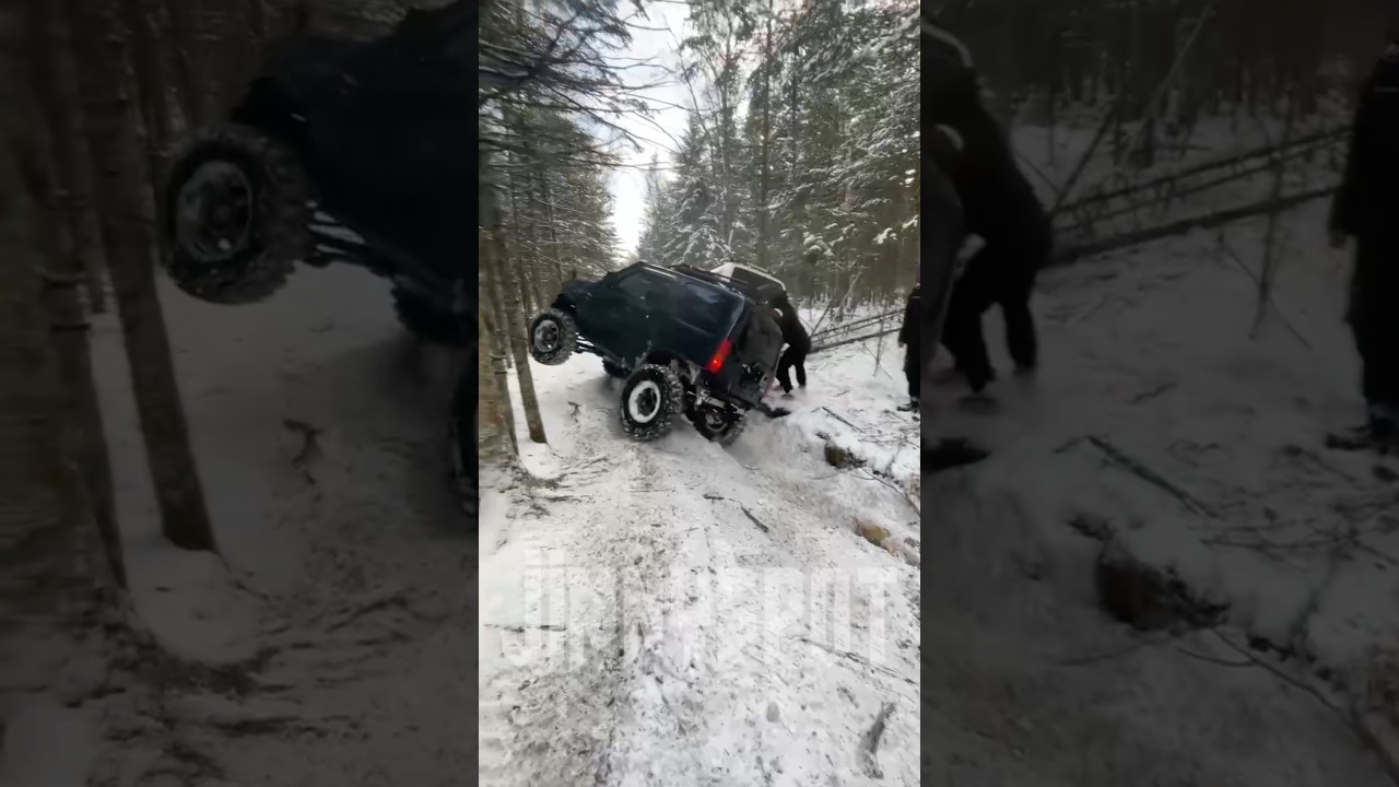 Бездорожье в сказочном лесу ⛰️🪵🌲 #jb23w #jimny #offroad