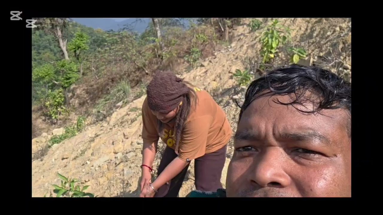   जङजल जादा को viteo
