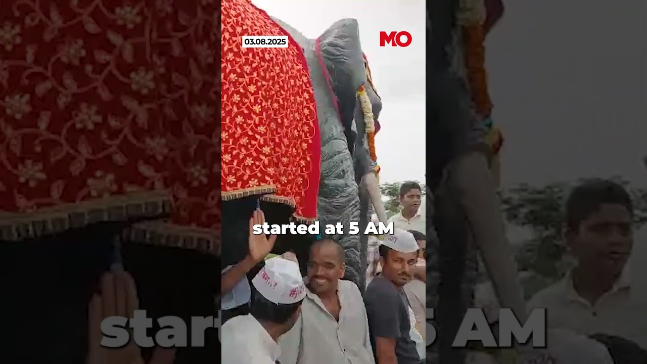 A 45-kilometre silent march, at the heart of it all &mdash; an elephant named Mahadevi