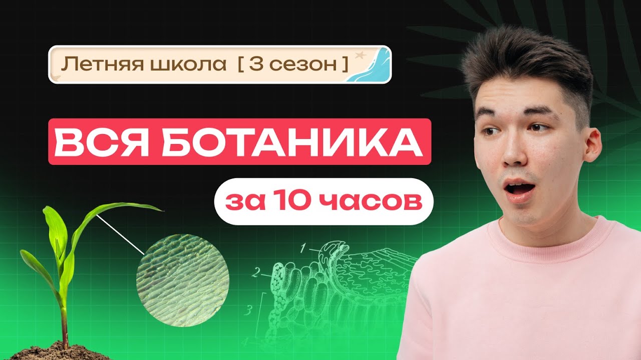 ВСЯ БОТАНИКА ЗА 10 ЧАСОВ | ЕГЭ-2026 ПО БИОЛОГИИ | NeoFamily