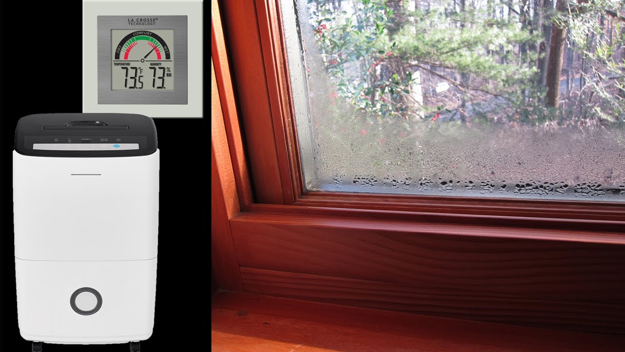 Preventing Mould - Dehumidifier Operation and Maintenance