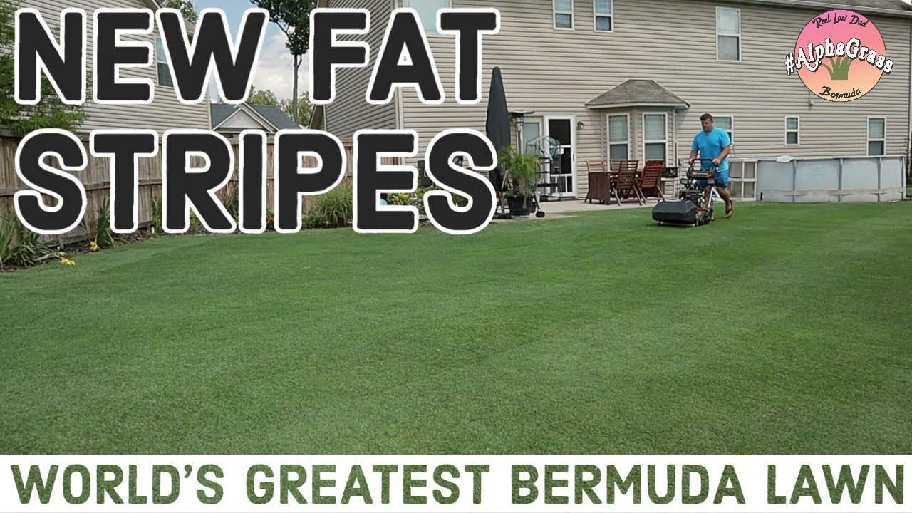 Striping Bermuda Grass | Golf Course Lawn Tips