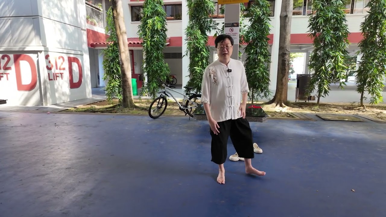 孫氏內家拳：太极拳 - 搂膝拗步学（The Study of Brushing Knee & Twisting Step）
