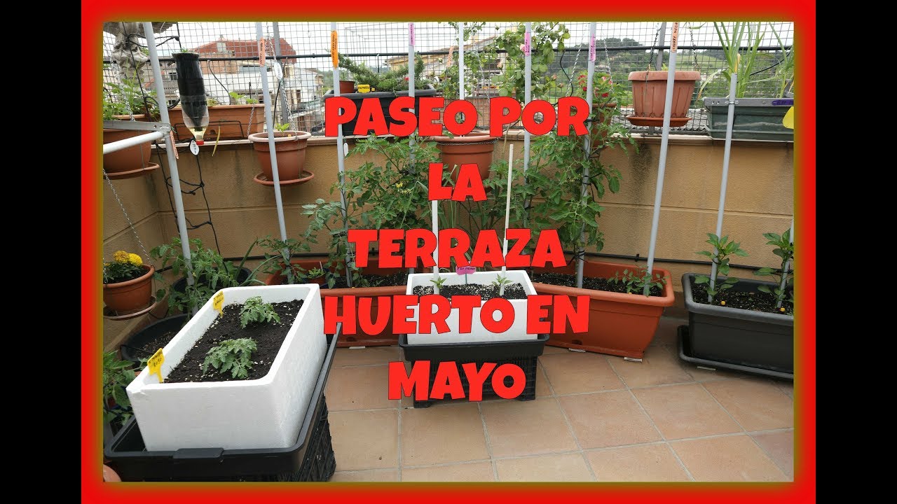 PASEO POR LA TERRAZA HUERTO EN MAYO /  LA TERRAZA HUERTO DE ESTEBAN